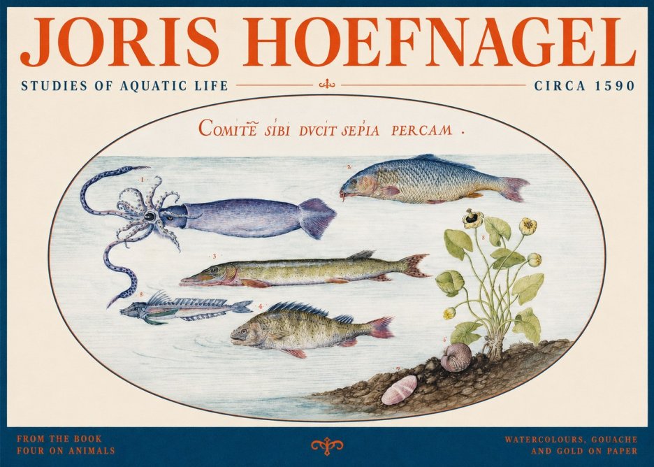 Joris Hoefnagel Comitẽ Sibi Ducit Sepia Percam. No2 - Plakat