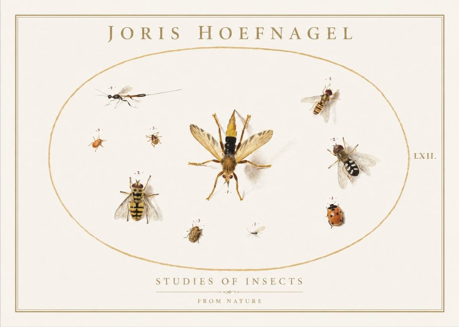 Joris Hoefnagel Studies of Insects IV No1 - Plakat