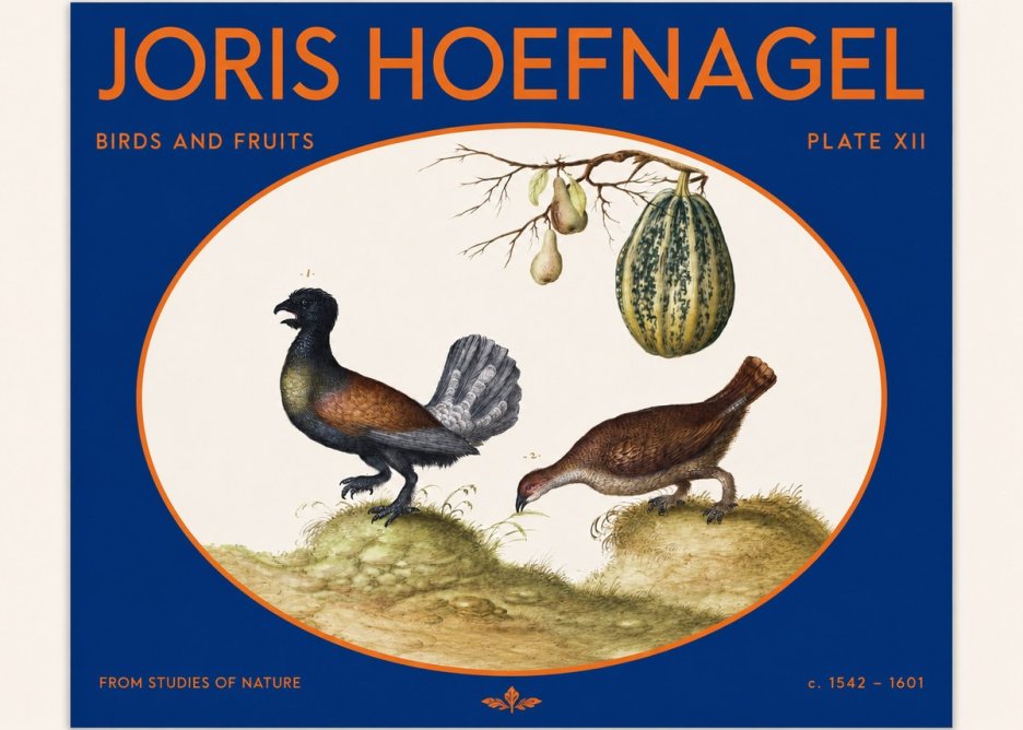 Joris Hoefnagel A Cock and Hen of the Woods with Pears and Gourd No2 - Plakat