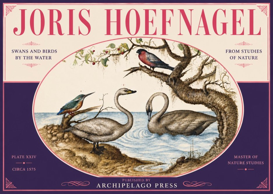 Joris Hoefnagel Swans and Birds by the Water No6 - Plakat