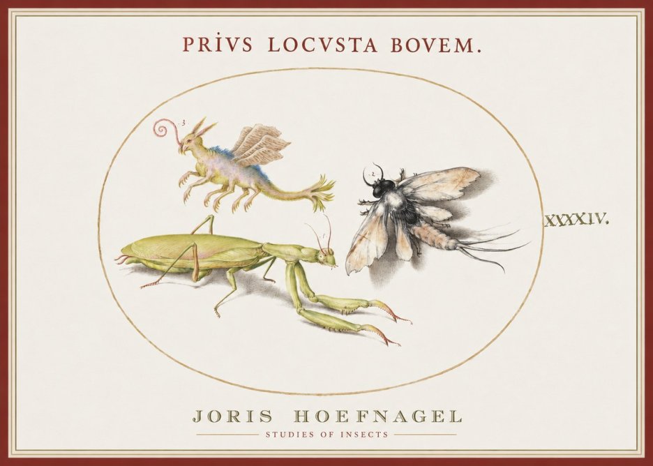 Joris Hoefnagel Privs Locvsta Bovem. No1 - Plakat