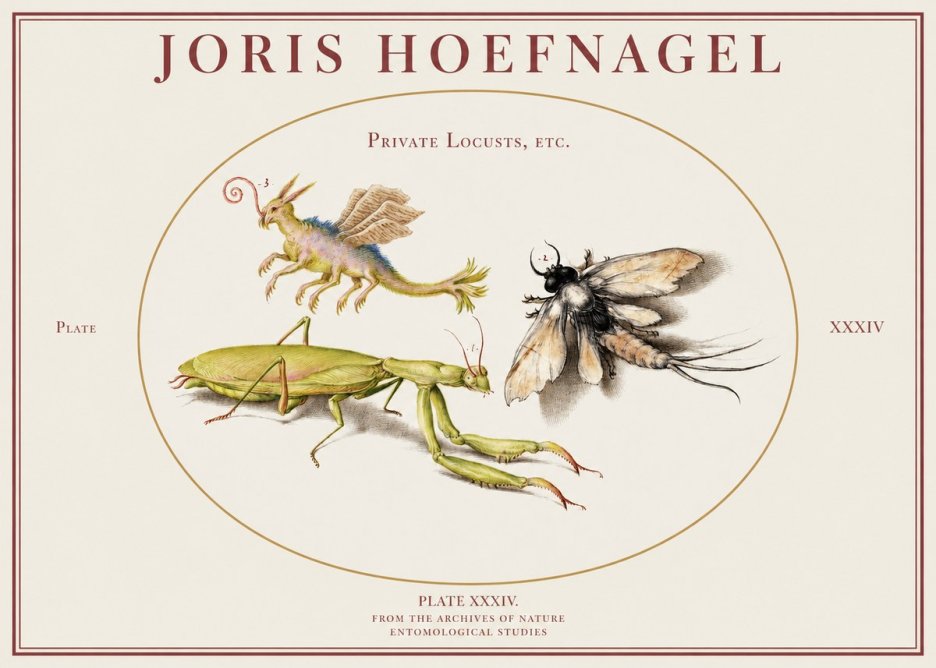 Joris Hoefnagel Privs Locvsta Bovem. No2 - Plakat