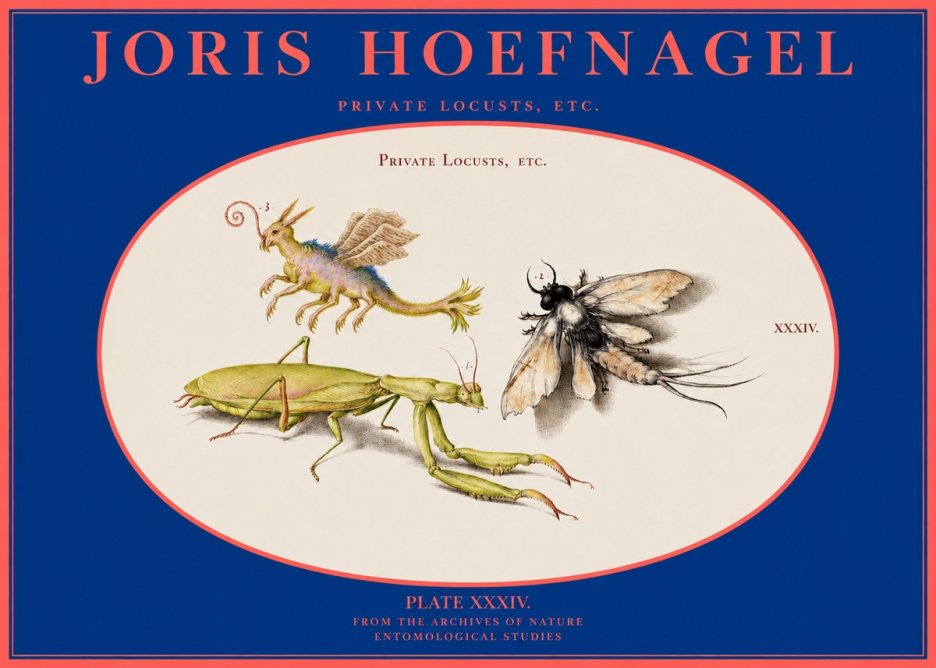 Joris Hoefnagel Privs Locvsta Bovem. No3 - Plakat