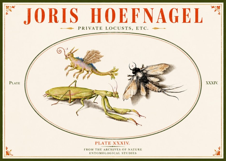 Joris Hoefnagel Privs Locvsta Bovem. No6 - Plakat