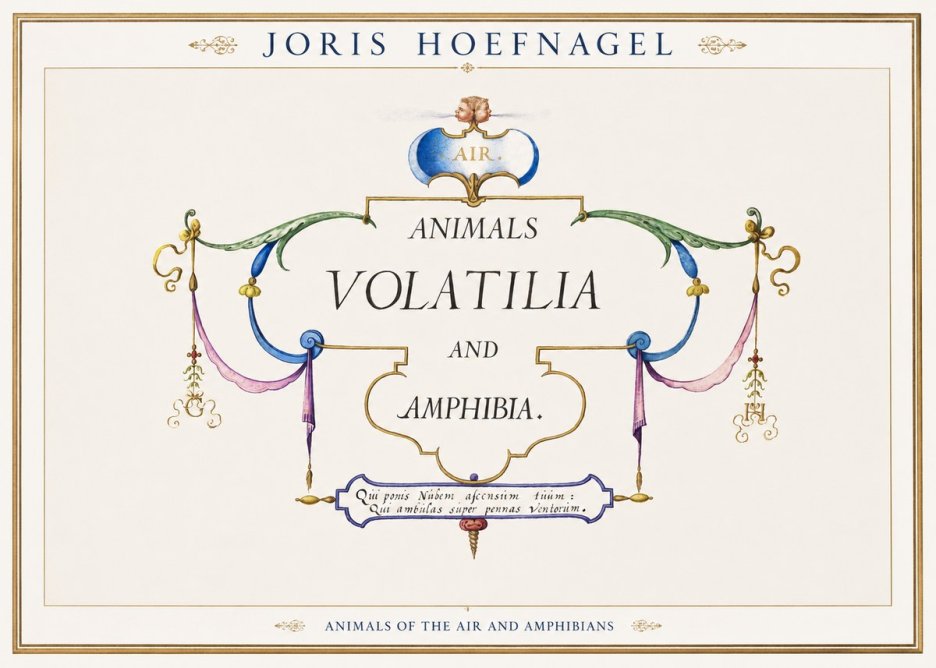 Joris Hoefnagel Animals Volatilia and Amphibia. No1 - Plakat