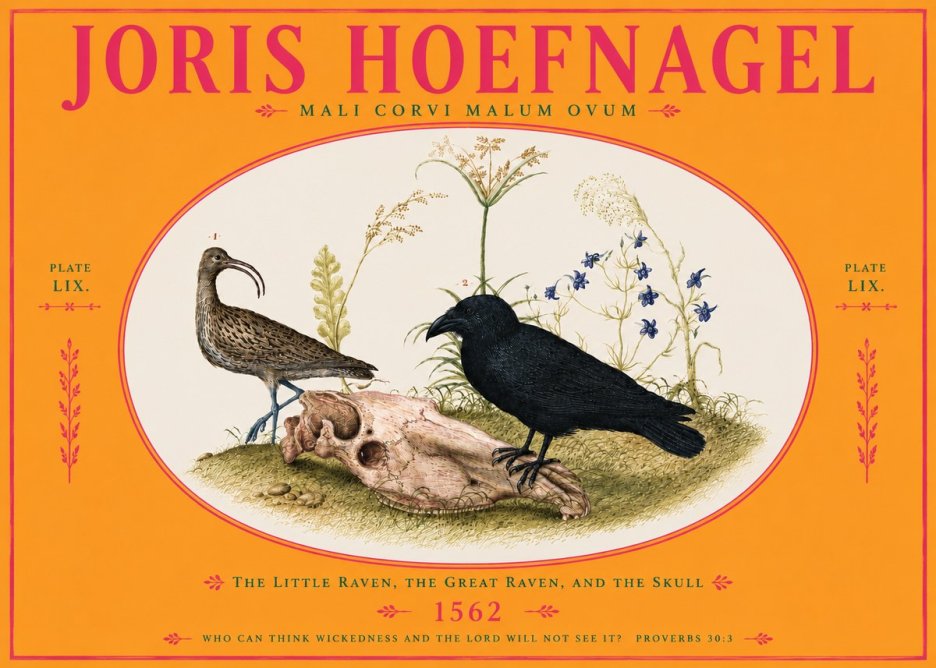 Joris Hoefnagel The Little Raven, the Great Raven, and the Skull No4 - Plakat