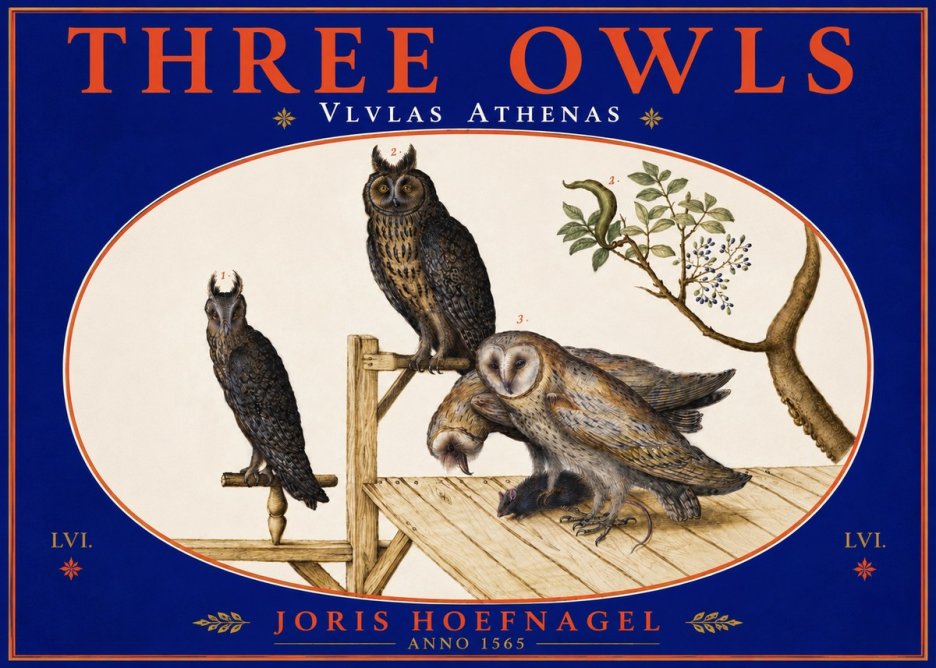 Joris Hoefnagel Vlvlas Athenas No5 - Plakat