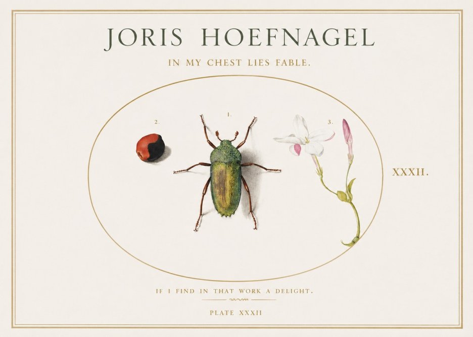 Joris Hoefnagel In My Chest Lies Fable No1 - Plakat