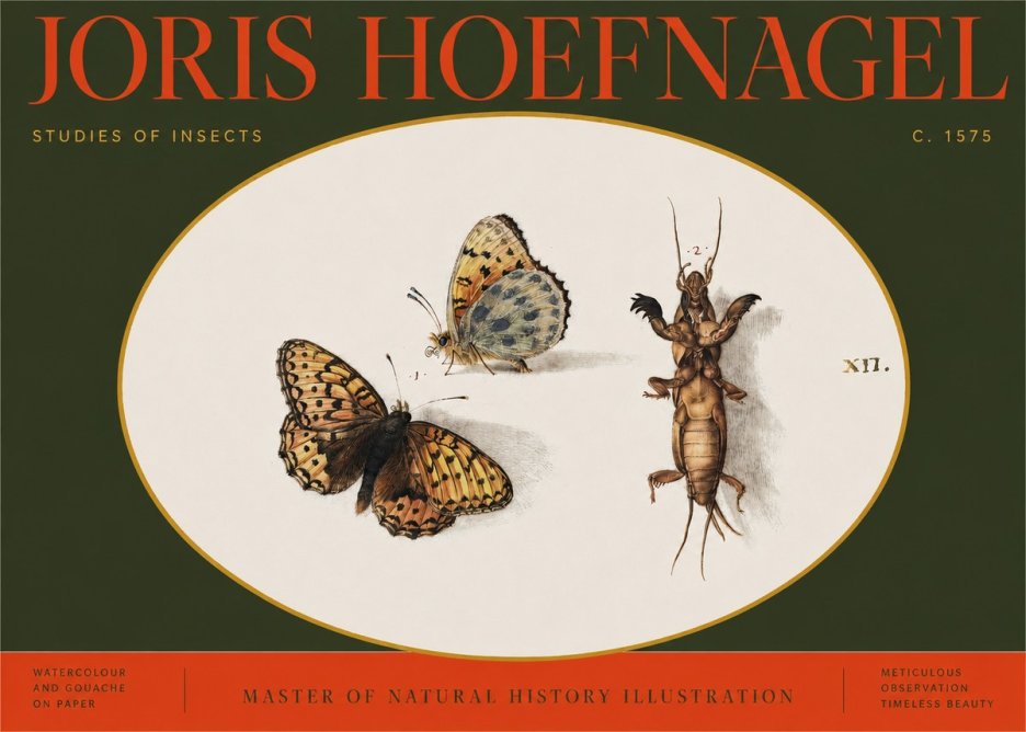 Joris Hoefnagel Studies of Insects Xii No2 - Plakat