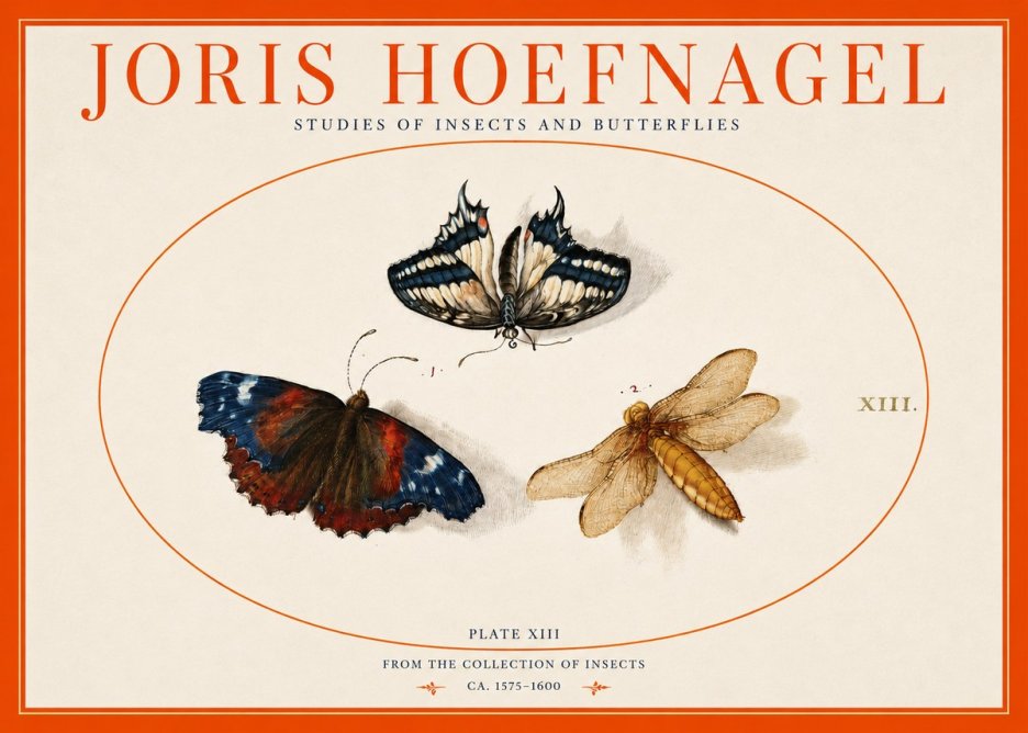 Joris Hoefnagel Studies of Insects - Plate Xiii No3 - Plakat