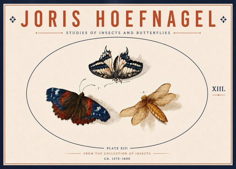 Joris Hoefnagel Studies of Insects - Plate Xiii No6 - Plakat