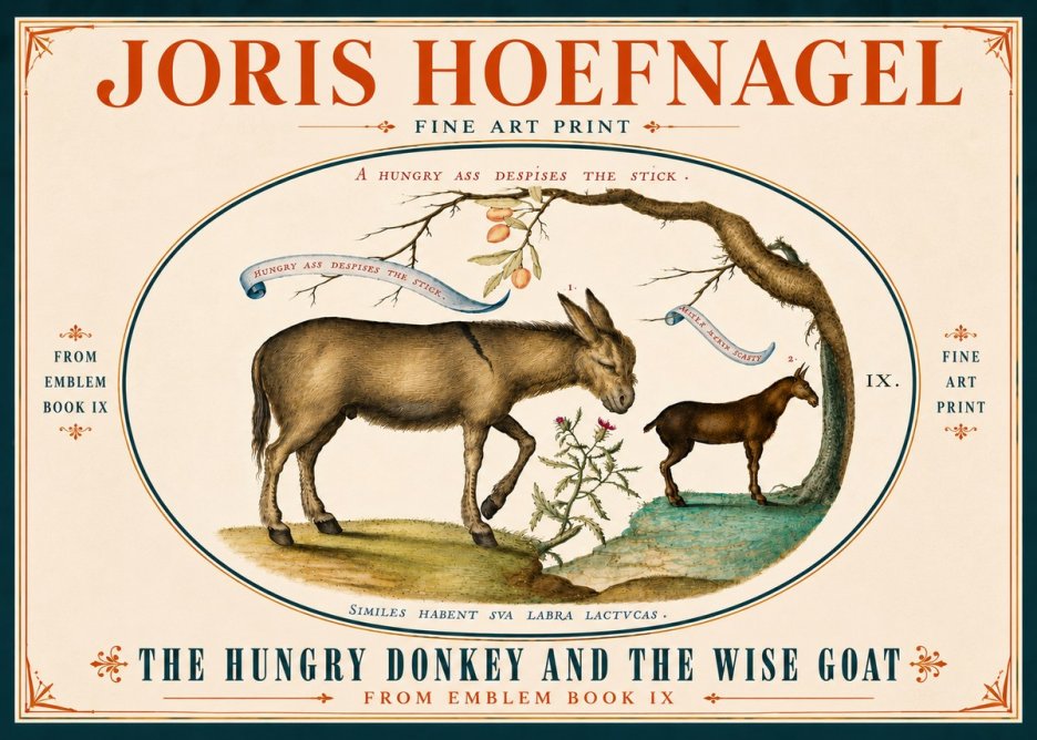 Joris Hoefnagel The Hungry Donkey and the Wise Goat No6 - Plakat
