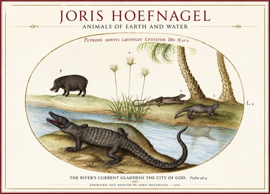 Joris Hoefnagel Animals of Earth and Water No1 - Plakat