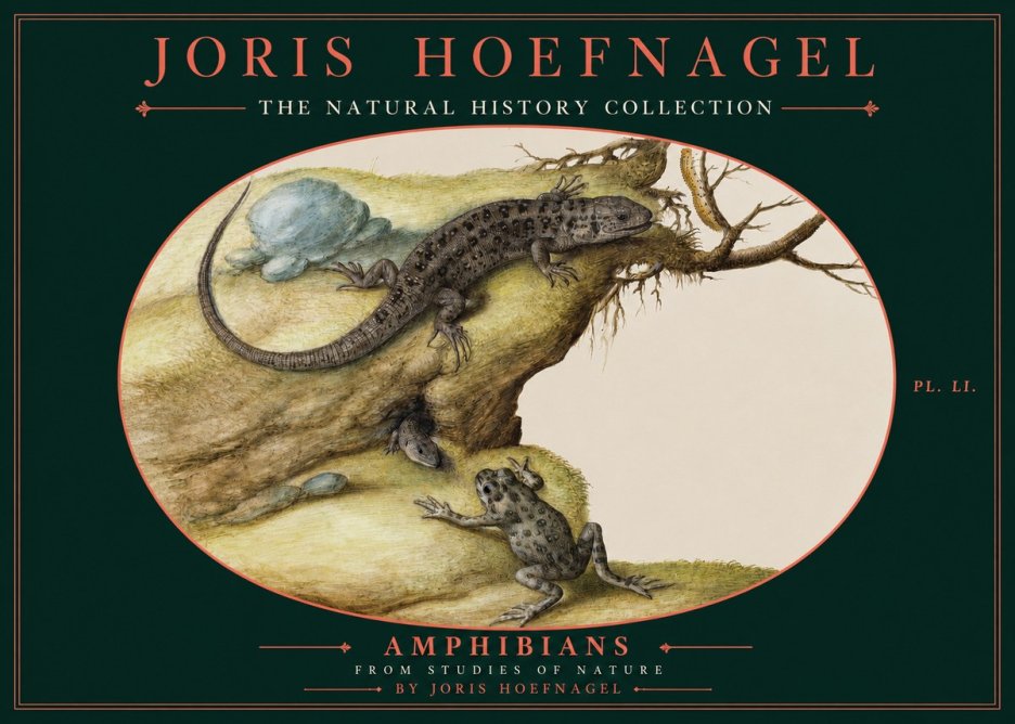 Joris Hoefnagel Amphibians from Studies of Nature No2 - Plakat