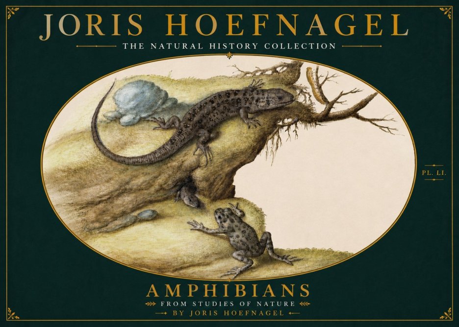 Joris Hoefnagel Amphibians from Studies of Nature No4 - Plakat