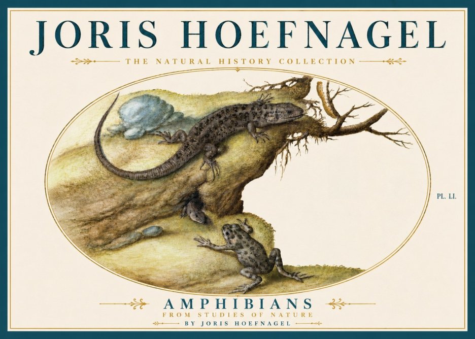 Joris Hoefnagel Amphibians from Studies of Nature No5 - Plakat
