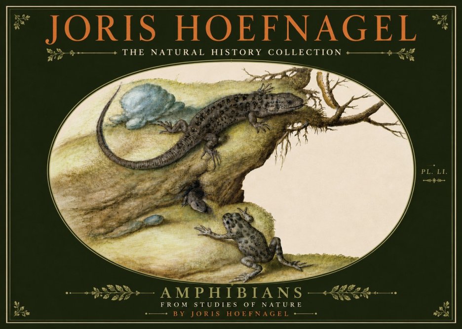 Joris Hoefnagel Amphibians from Studies of Nature No6 - Plakat