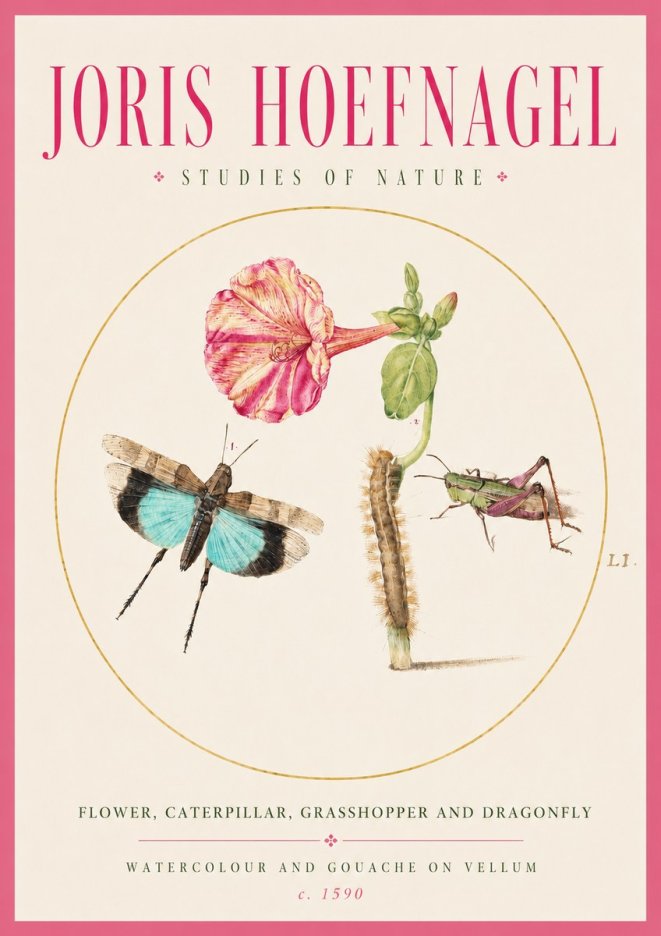 Joris Hoefnagel Plate L1. Studies of Insects and Plants No3 - Plakat