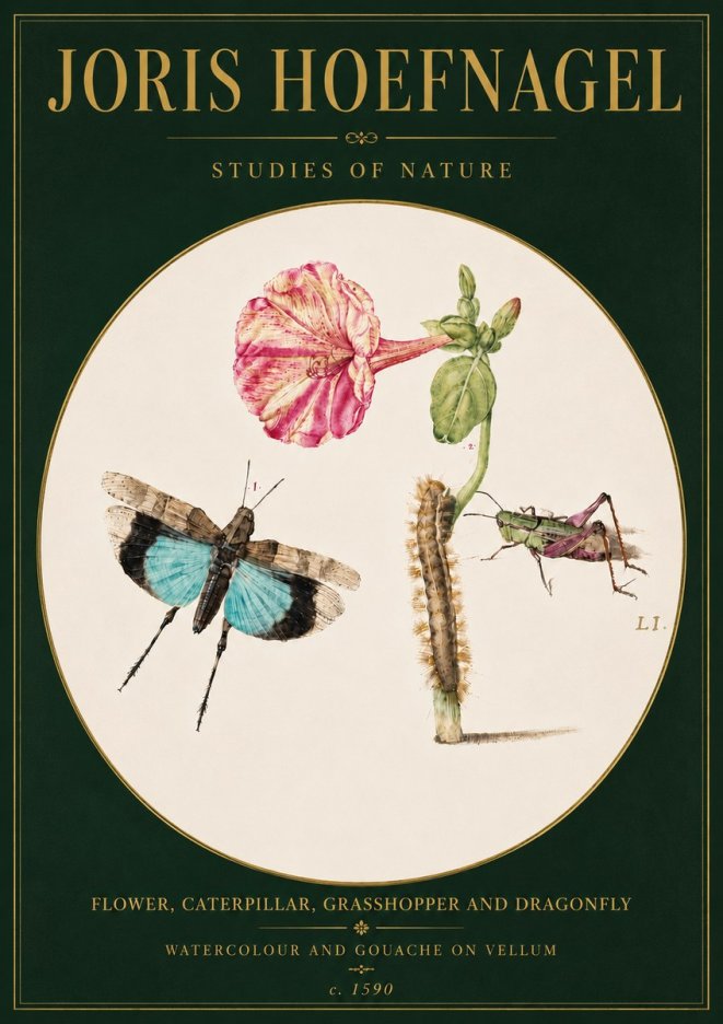Joris Hoefnagel Plate L1. Studies of Insects and Plants No6 - Plakat