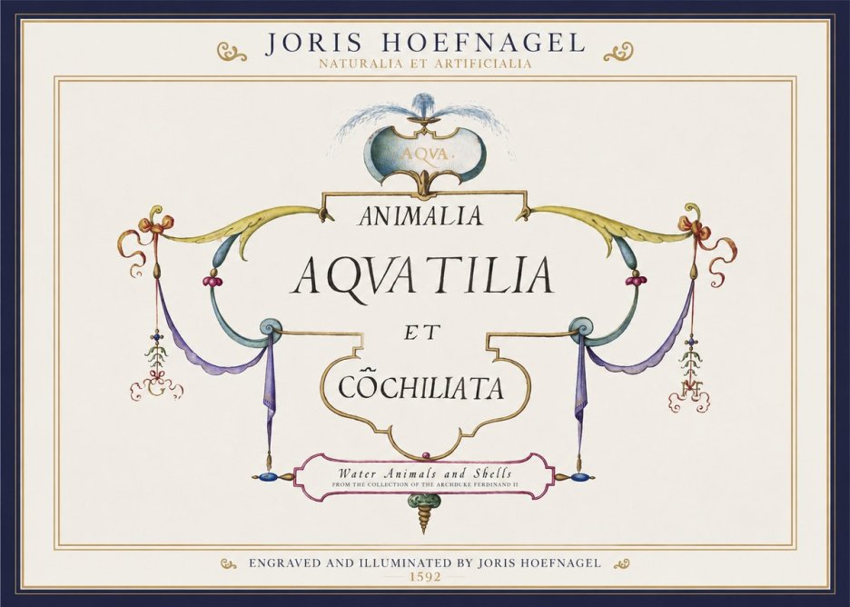 Joris Hoefnagel Animalia Aquatilia Et Cochiliata No1 - Plakat