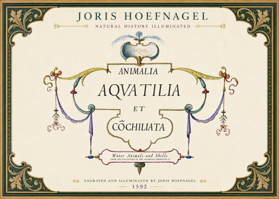 Joris Hoefnagel Animalia Aquatilia Et Cochiliata No6 - Plakat