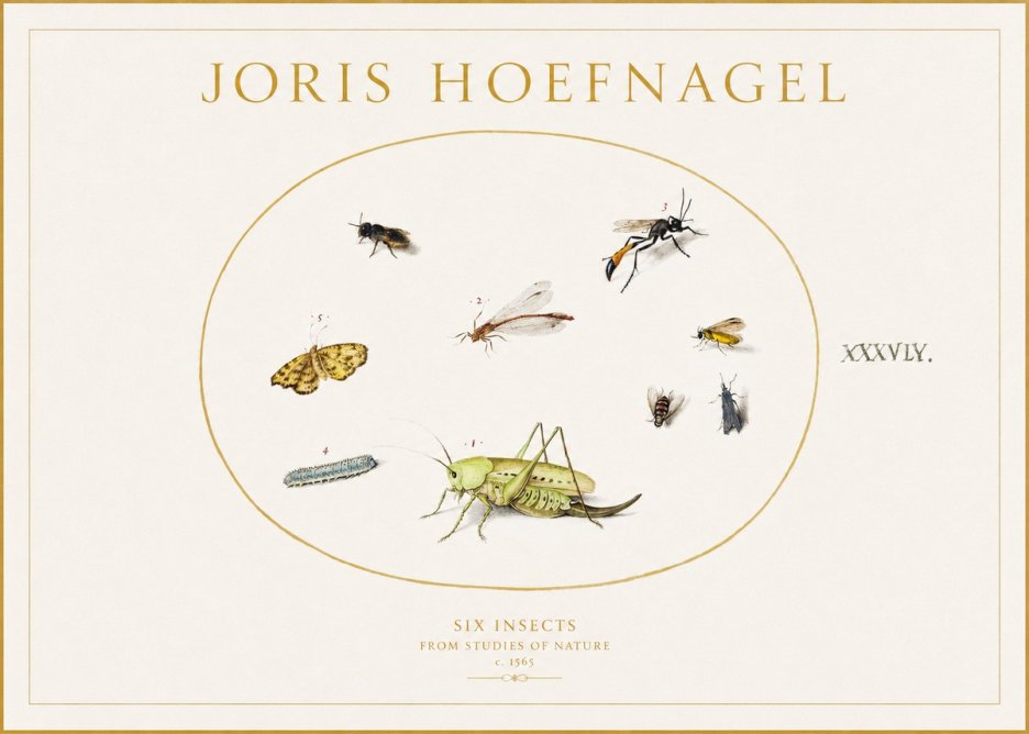 Joris Hoefnagel Six Insects from Studies of Nature C. 1565 No1 - Plakat