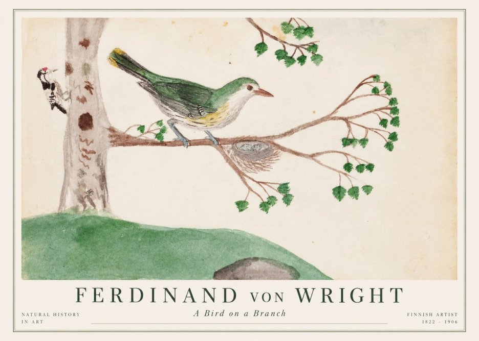 Ferdinand von Wright Green Warbler with Nest No2 - Plakat
