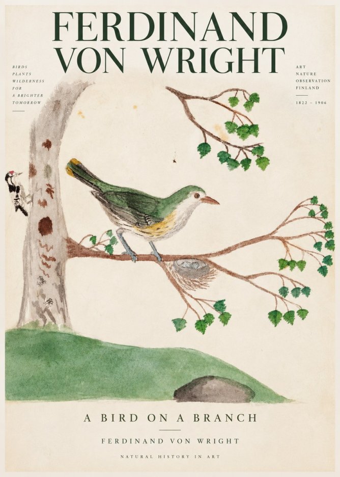 Ferdinand von Wright Green Warbler with Nest No4 - Plakat