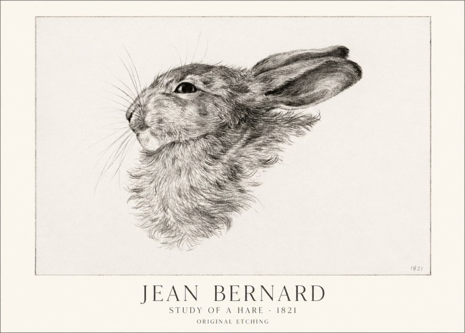 Jean Bernard Study of a Hare No1 - Plakat