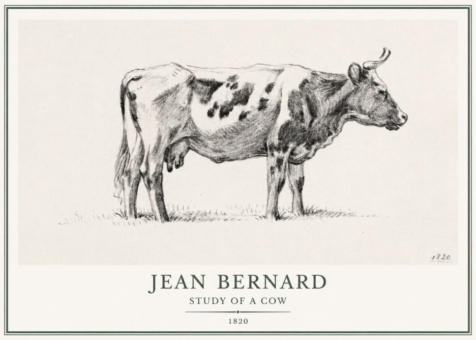 Jean Bernard Study of a Cow XX No1 - Plakat
