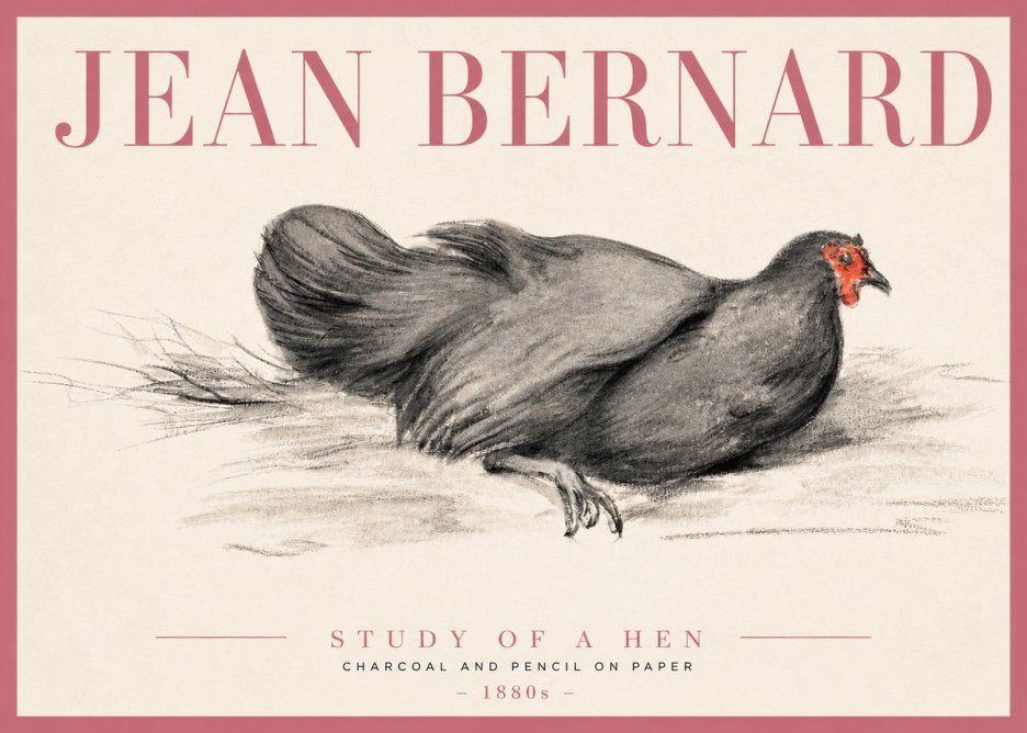 Jean Bernard Study of a Hen No3 - Plakat