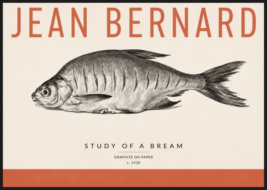 Jean Bernard Study of a Bream No4 - Plakat