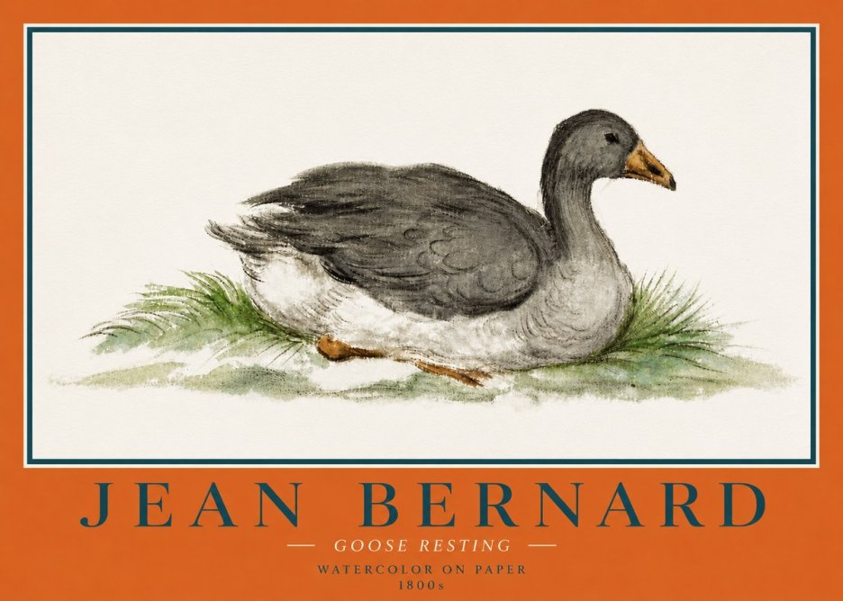 Jean Bernard Goose Resting No4 - Plakat