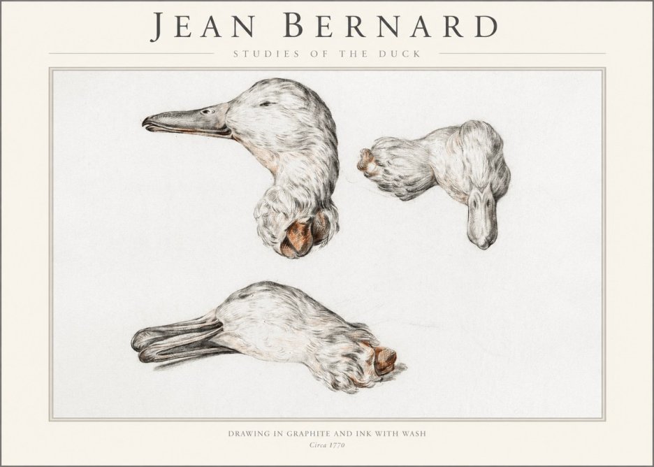 Jean Bernard Studies of the Duck No1 - Plakat