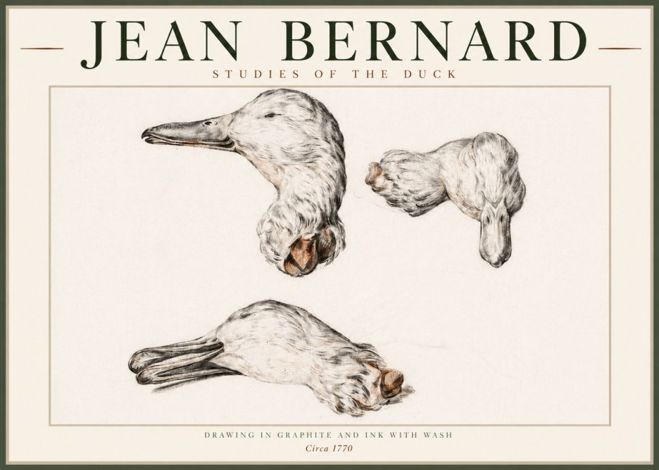 Jean Bernard Studies of the Duck No4 - Plakat