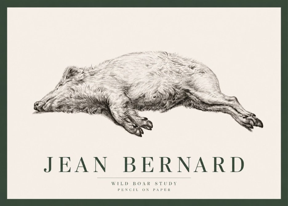Jean Bernard Wild Boar Study No2 - Plakat