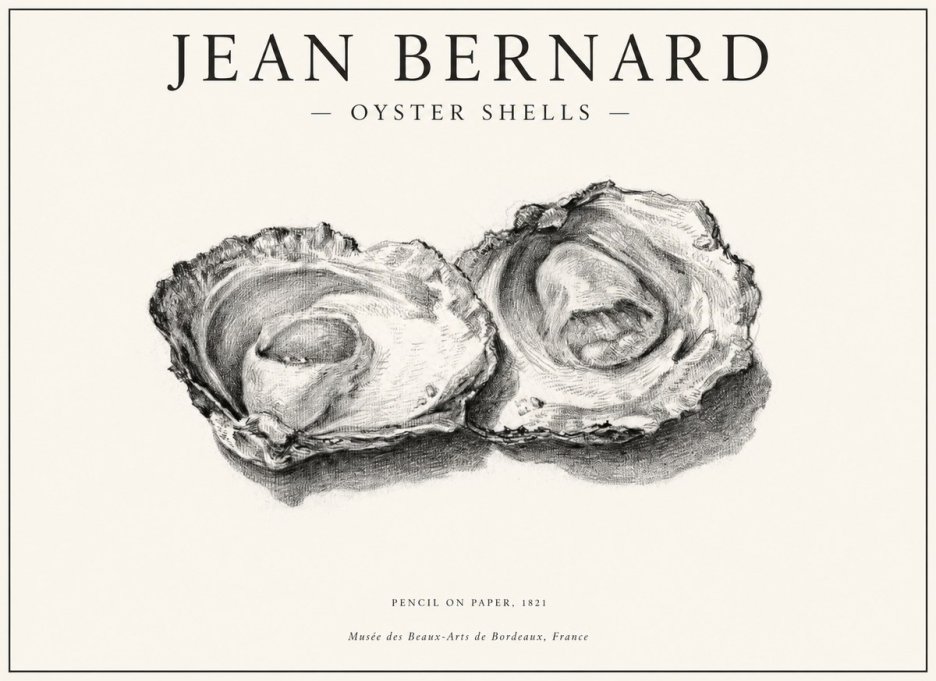 Jean Bernard Study of Oyster Shells No6 - Plakat