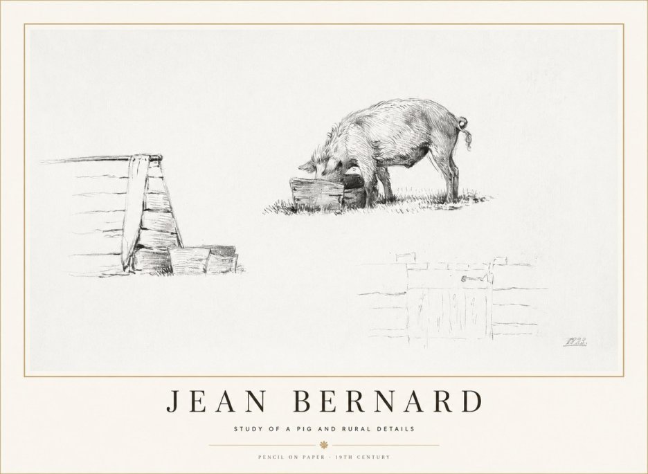 Jean Bernard Pig Study No2 - Plakat