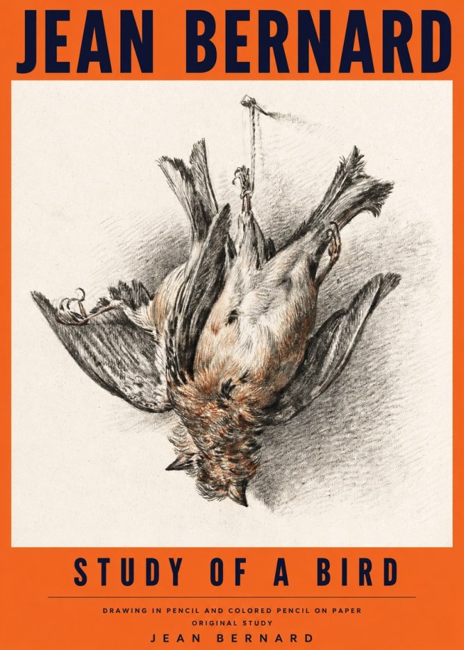 Jean Bernard Study of a Bird IV No4 - Plakat