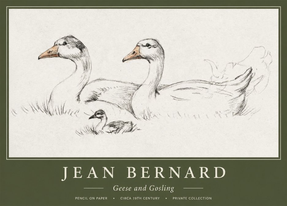 Jean Bernard Study of Geese No2 - Plakat