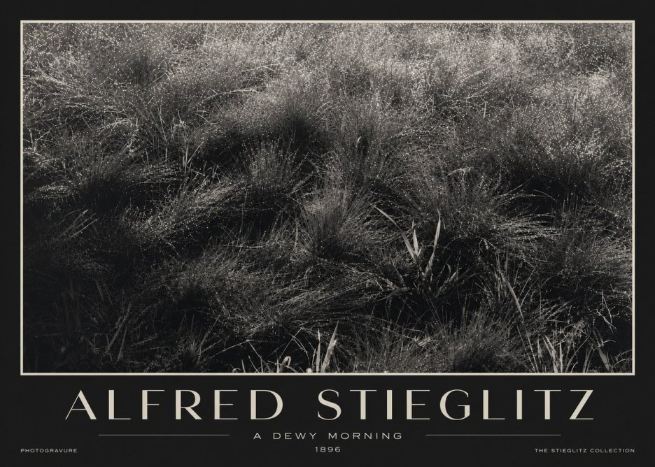 Alfred Stieglitz A Dewy Morning No3 - Plakat