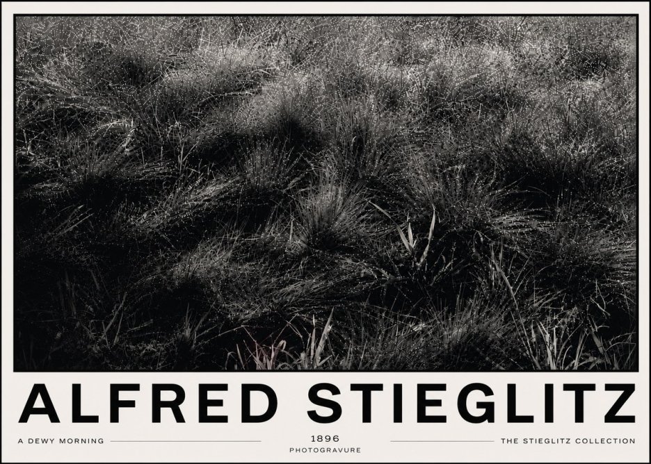 Alfred Stieglitz A Dewy Morning No6 - Plakat
