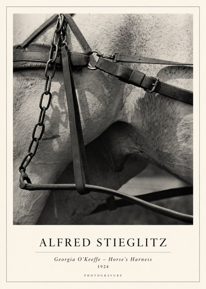 Alfred Stieglitz The Steerage I No2 - Plakat