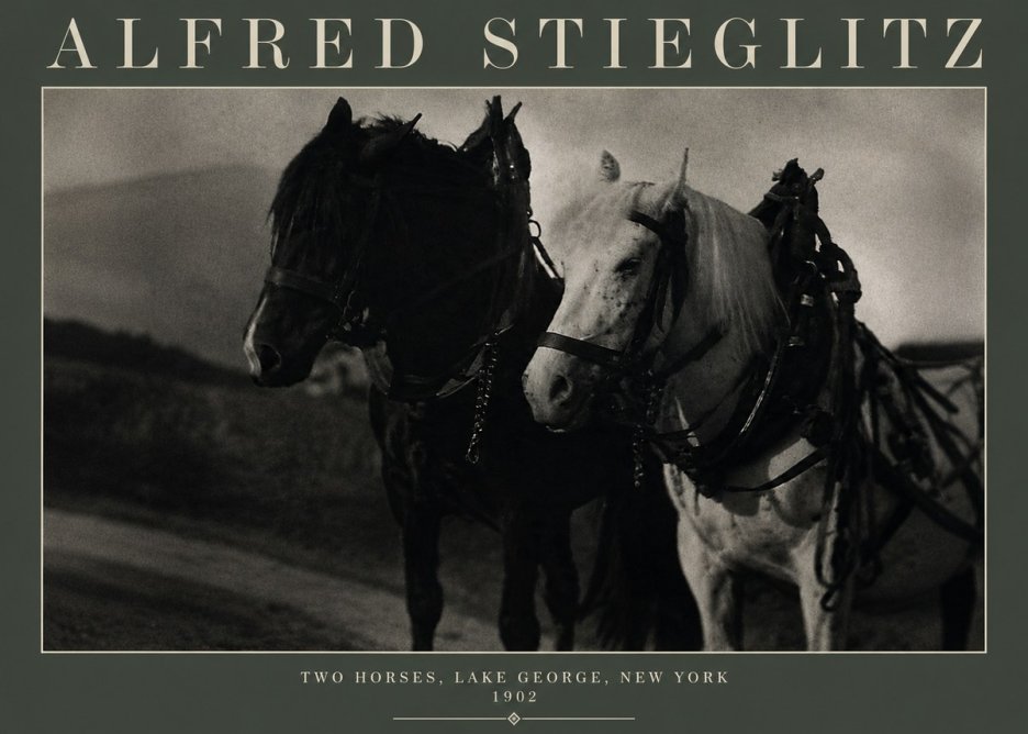 Alfred Stieglitz Two Horses, Lake George, New York No3 - Plakat