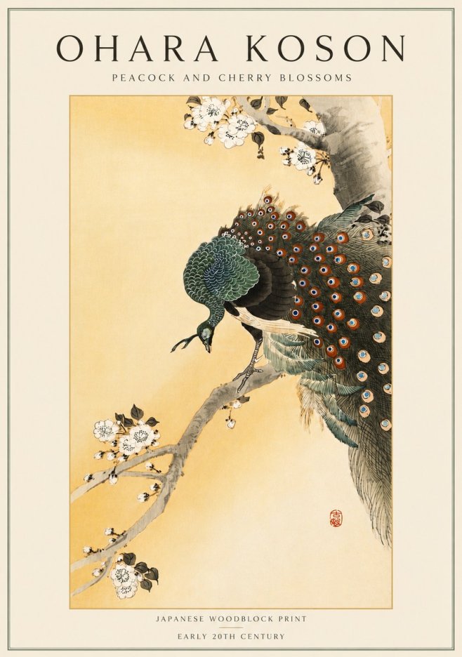 Ohara Koson Peacock and Cherry Blossoms No4 - Plakat