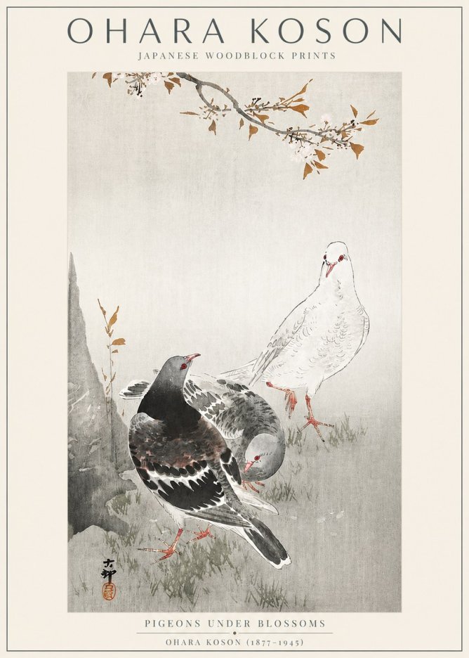 Ohara Koson Pigeons Under Blossoms No3 - Plakat