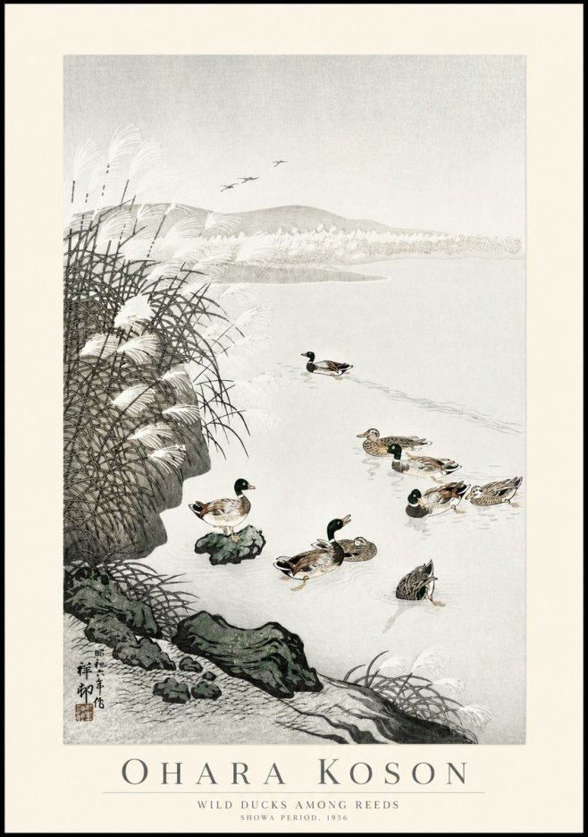 Ohara Koson Wild Ducks Among Reeds No1 - Plakat