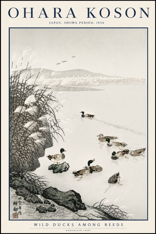 Ohara Koson Wild Ducks Among Reeds No3 - Plakat