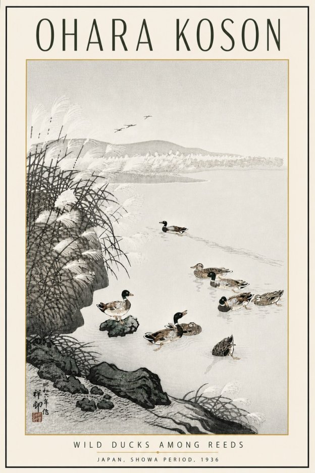 Ohara Koson Wild Ducks Among Reeds No5 - Plakat