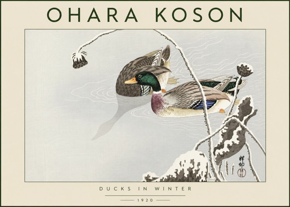 Ohara Koson Ducks in Winter No4 - Plakat